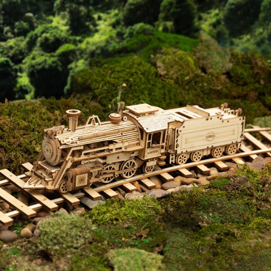 Train – Voiture – Camion – Kit de Construction de Maquettes en Bois –  Jeu d’Assemblage de Blocs Jouet pour Enfant et Adulte